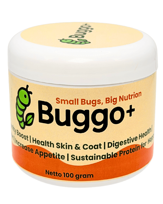 Mopi Buggo Plus